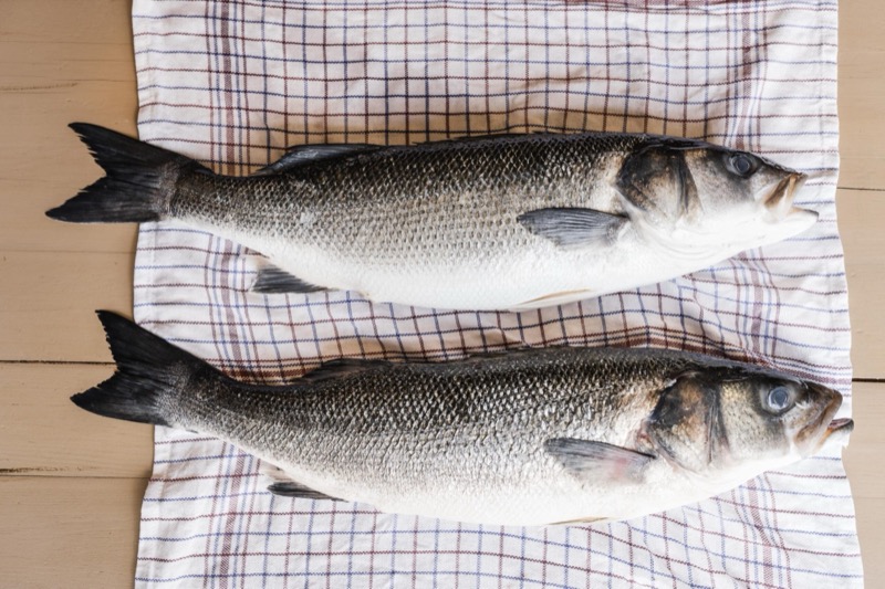 Poissons frais livrés au restaurant Le Lien